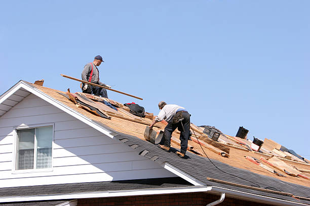 Best Roof Moss and Algae Removal  in Pevely, MO